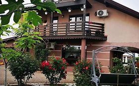 Casa Iris Murighiol